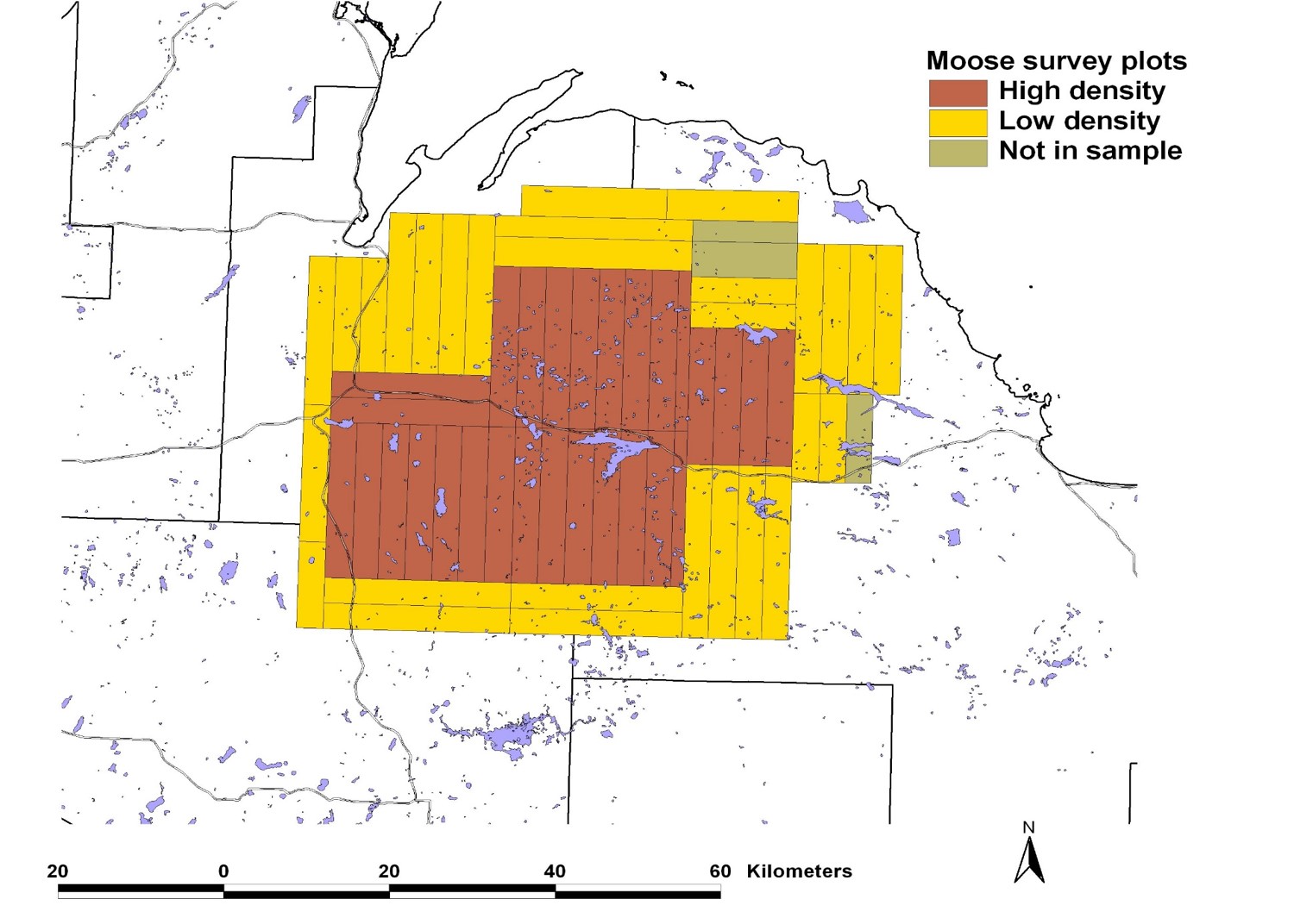 DNR reports moose survey results