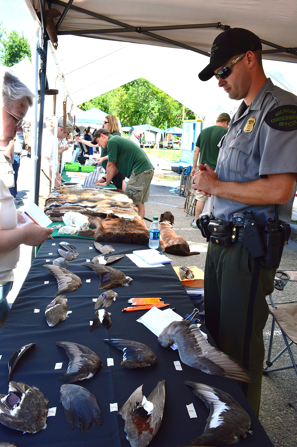 Saginaw Bay Waterfowl Festival returns to Bay City State Park Aug. 45