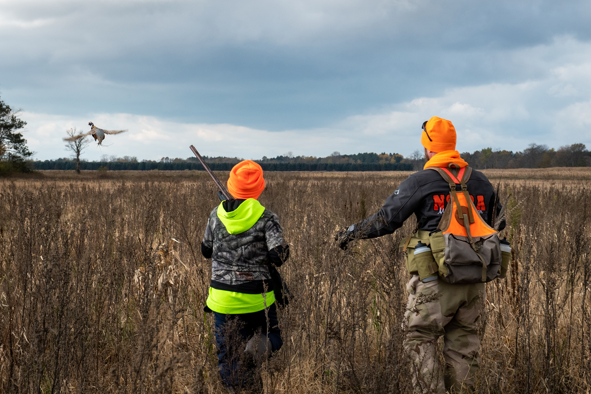 Pheasant hunt still provides unique experience