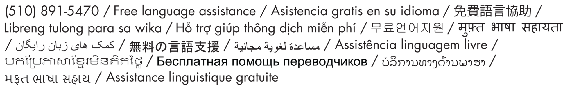 Free Language Assistance