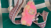 Lost stuffed animal
