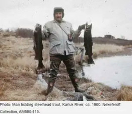 Man holding steelhead trout, Karluk River, ca. 1960. 