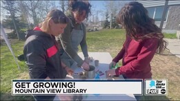 garden activities at mountain view public library