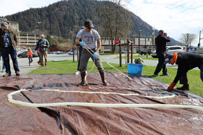 Sven Haakanson Jr. (center) helps unwind the small intestine of a Kodiak brown bear with the help of Peter Otsea (right) 