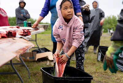 Students from the Yupiit School District learn how to prepare freshly caught salmon in Akiachak