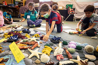 kids interact with tide pool stuffed animals