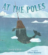 book cover with narwhal illustration: At the Poles by David Elliott, Illustrated by Ellen Rooney.