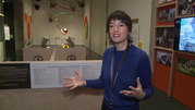 a person stands in front of exhibits at the Anchorage Museum