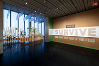 “How to Survive” is an exhibit at the Anchorage Museum exploring climate change through stories of hope and resilience.