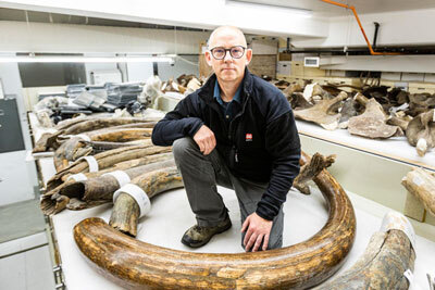 UAF Professor Matthew Wooller kneels among mammoth tusks