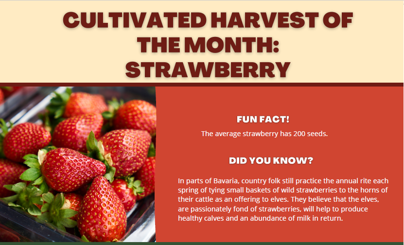 June Harvest of the Month: Strawberry