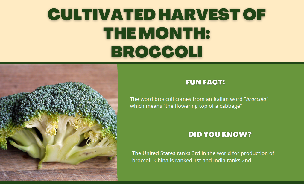 July Harvest of the Month-Broccoli