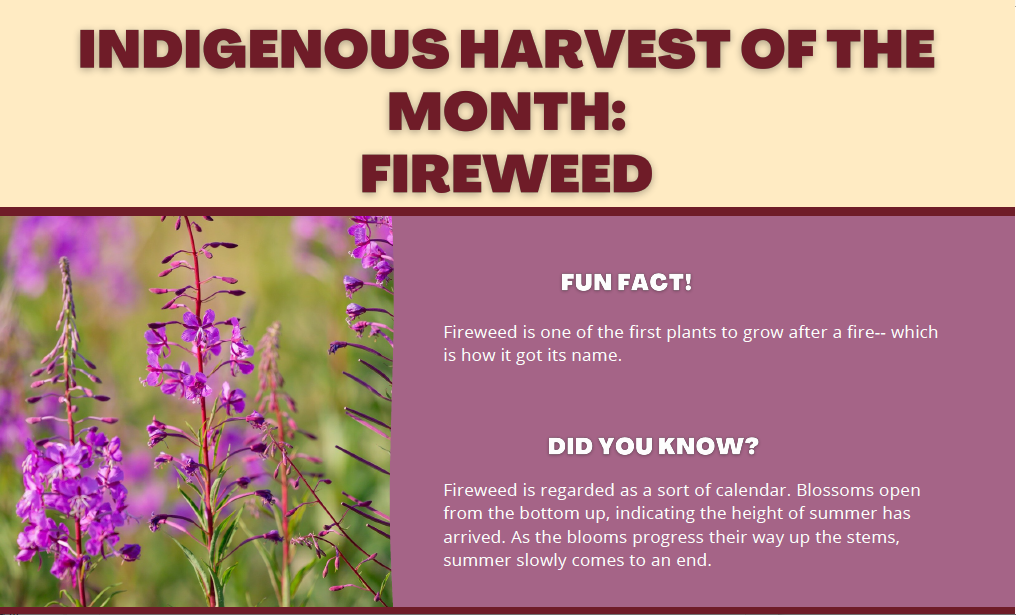 July Harvest of the Month-Fireweed