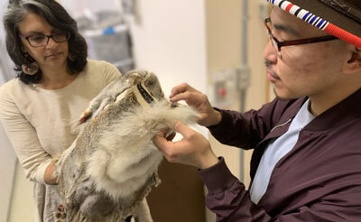 Monica Shah and Golga Oscar examine a squirrel skin hood.