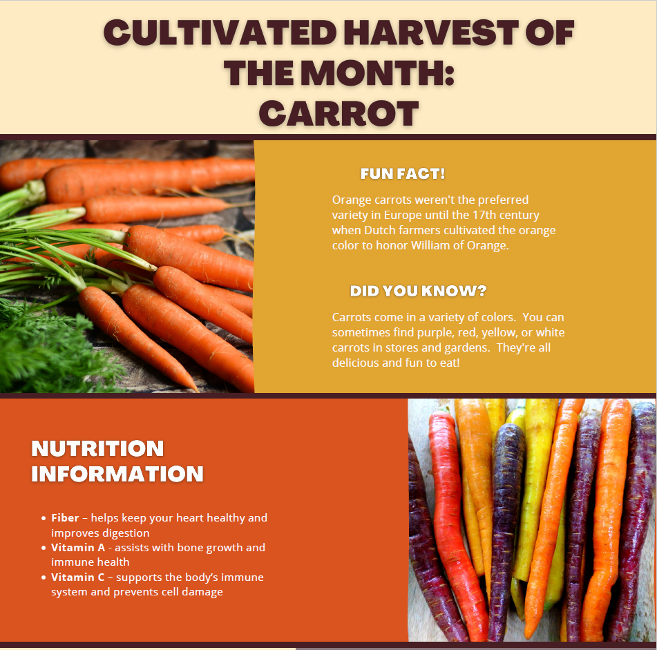 September HOM - Cultivated