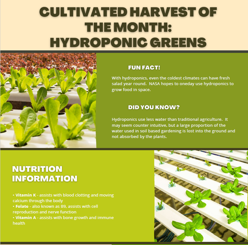 Cultivated Harvest of the Month: Hydroponic Greens