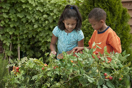 Nurturing Diversity in School Gardens