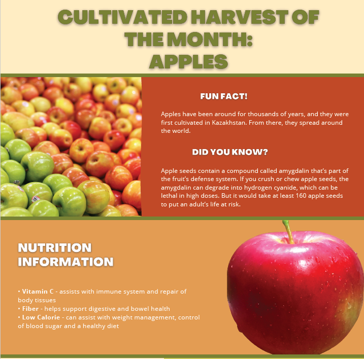 March Cultivated HOM - Apple