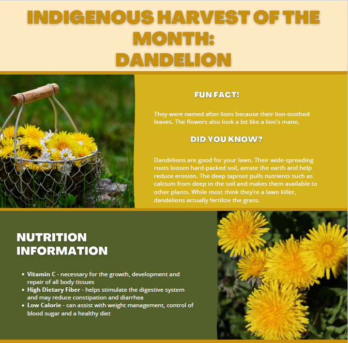 May Indigenous Harvest of the Month