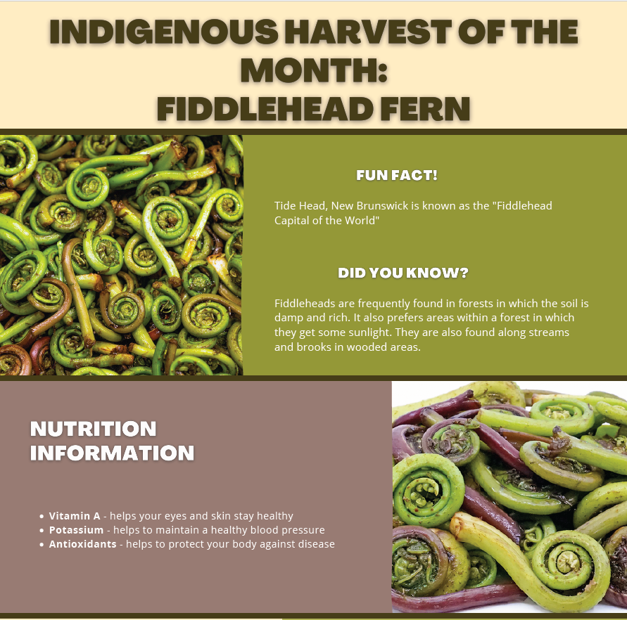 May Harvest of the Month - Indigenous