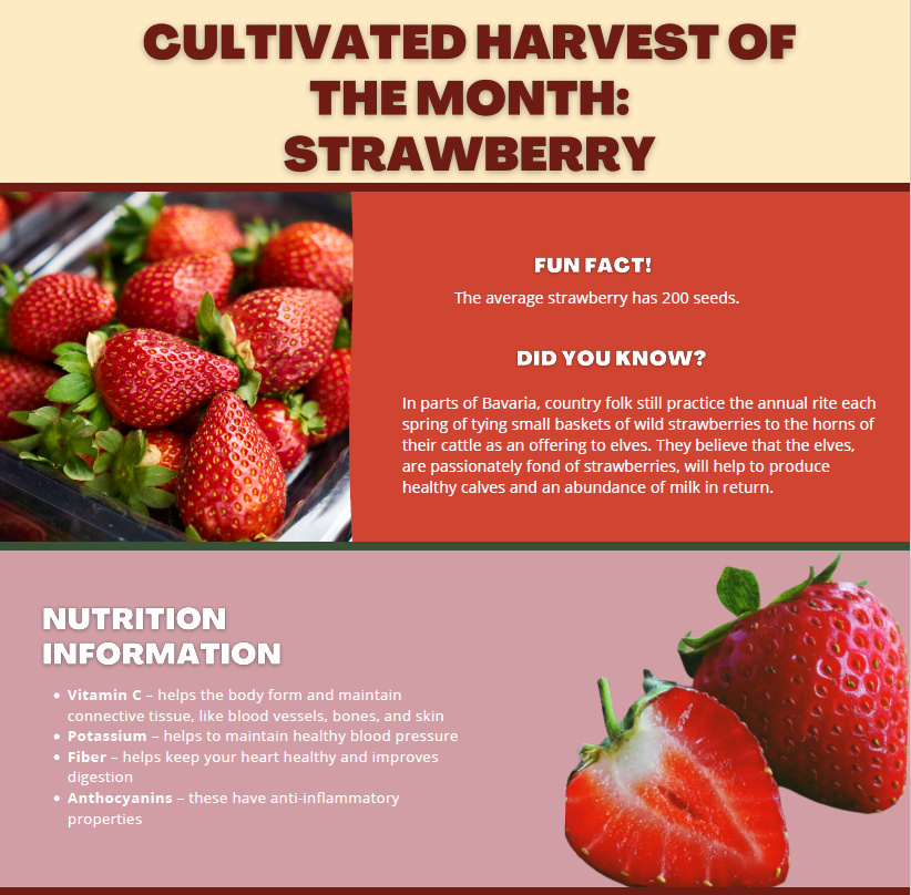 Harvest of the Month - Strawberries