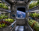 Plants in Space