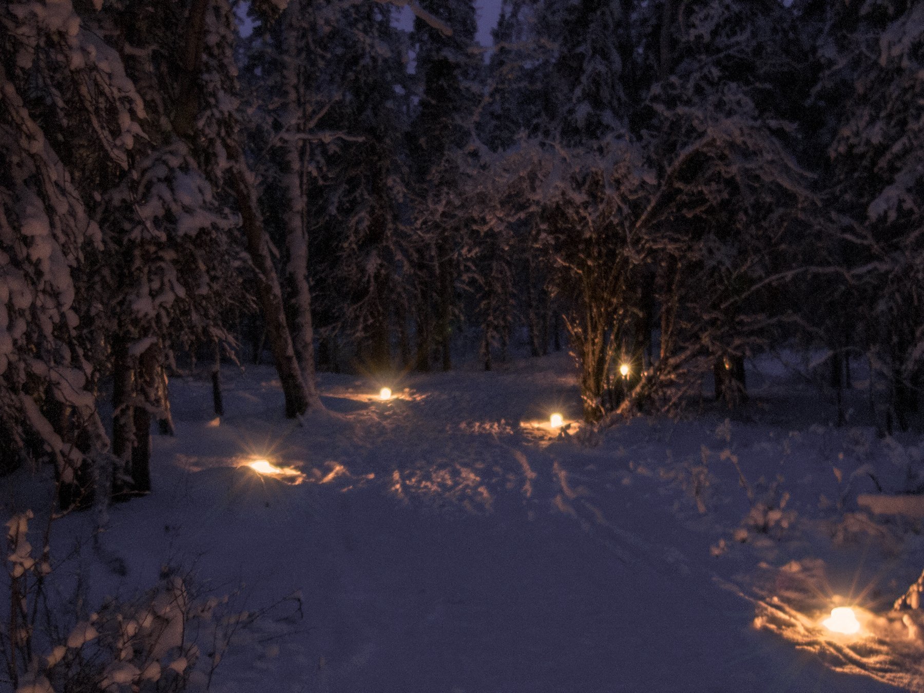Denali National Park ice luminaries on trails