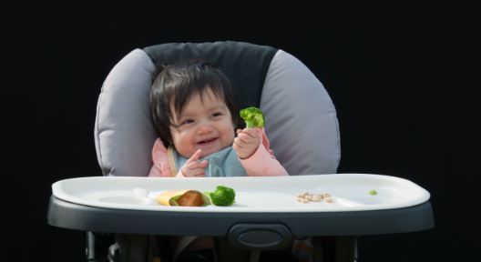 Toddler eating broccoli