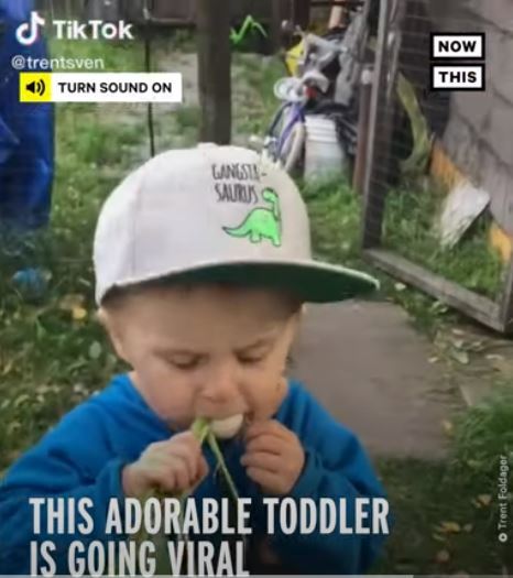 Toddler Eating Veggies Play Every Day Alaska