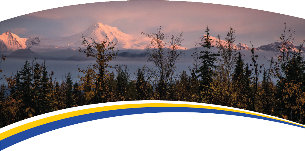 Mountain Banner Image