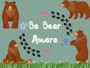 bear aware