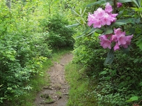 DeSoto trail