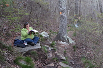 DSP nature journaling