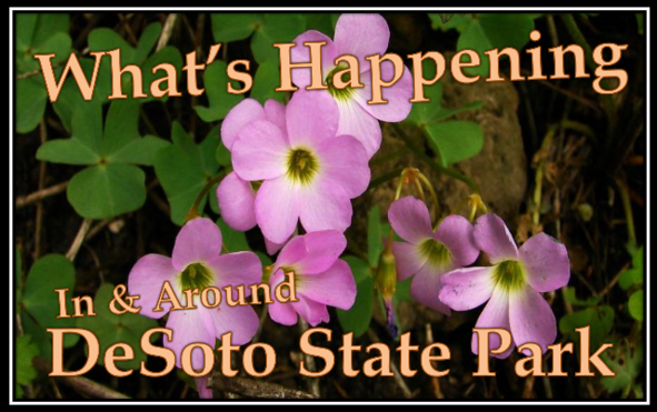 What's Happening DSP