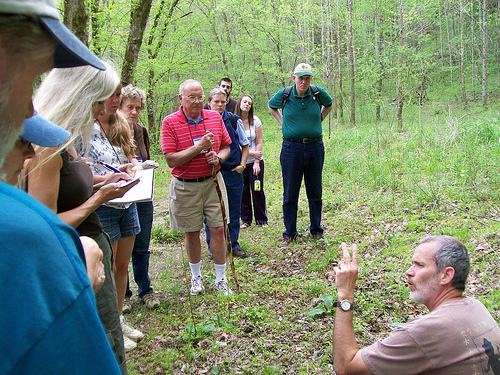 Stalking the Wild Cheaha