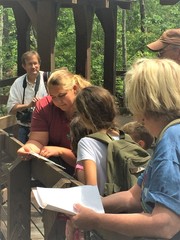 Cheaha Naturalist Board Walk