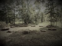 Alabama Forest Classroom 
