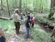 Native Plan Walk