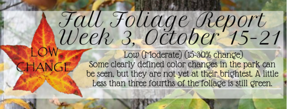 Fall Foliage Report Week 3