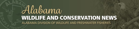 Wildlife and Conservation News Header