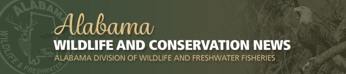 Wildlife and Conservation News Header