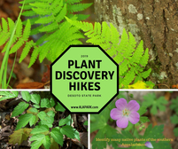 Plant Discovery Hike