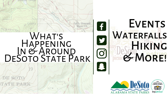 Whats Happening In DSP Header