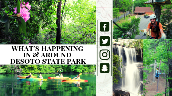 What's Happening In & Around DeSoto State Park Header