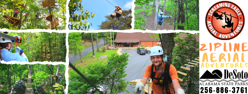 Zipline Adventure