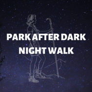 Park After Dark