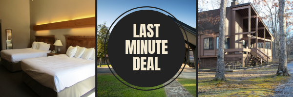 Last Minute Deal $89