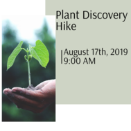 Plant Discovery Hike