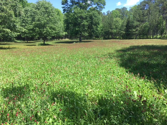 foodplot
