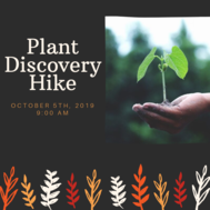 Plant Discovery Hike October DSP